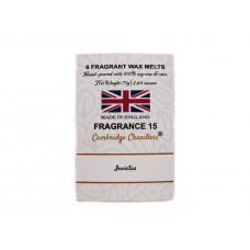 Fragrance 15  - Invictus Wax Scented Wax Melt